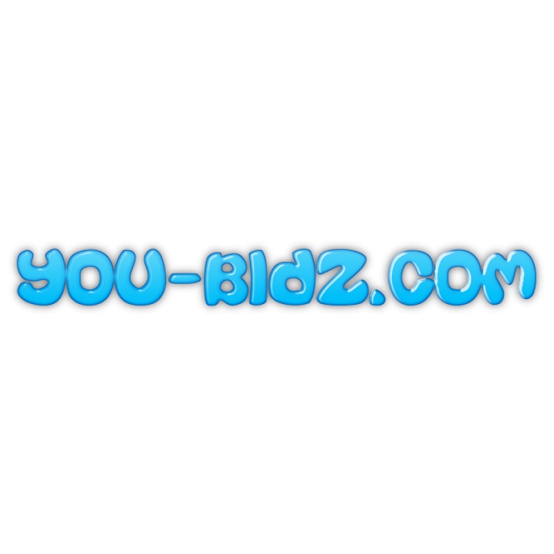 You-bidz.com PREMIUM Domain Name For Sale. Auction Website, Bidding Room etc,